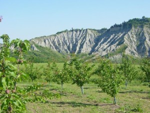 4.2 foto cassani 2