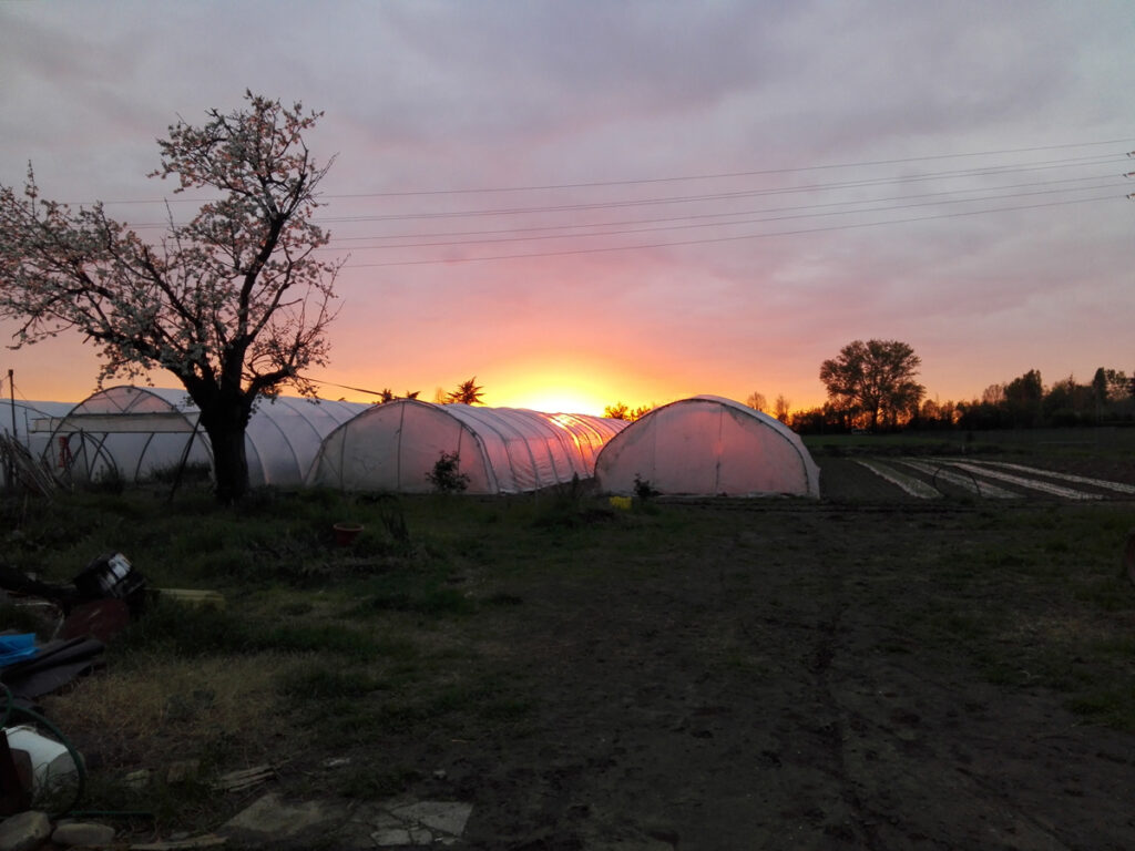 Tramonto su Arvaia